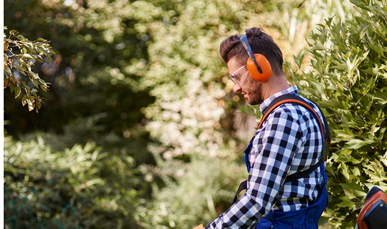 Garden Design & Planning